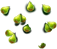 javaapple_xxl_layer1[1].png