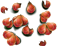 javaapple_xxl_layer3[1].png