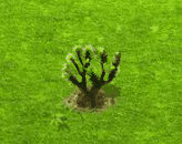 joshuatree_upgrade_0.gif