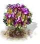 Judasbaum.png