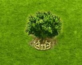 Judasbaum XXL.gif