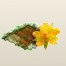 Jute.png