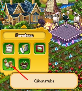 Kükenstube übers Farmhaus.jpg