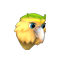 kakapo.png