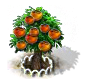 Kakibaum xl.png