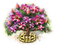 Kapokbaum xxl.png