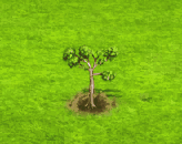 kapoktree_upgrade_0.gif