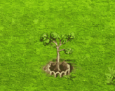 kapoktree_upgrade_1.gif