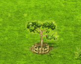 kapoktree_upgrade_2.gif