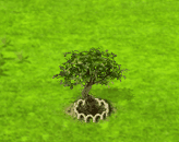 Karobbaum XL.gif
