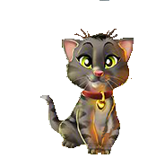 Katze2.png