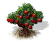 Kirschbaum.png