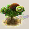 Kiwi.png