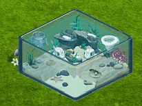 Kofferfisch-Becken.gif