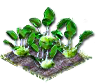 kohlrabi_Icon.png