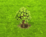 kokiacookei_upgrade_0.gif
