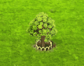 kokiacookei_upgrade_1.gif