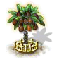 Kokospalme xxl.png