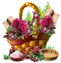 Korb3.png