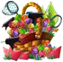 korb3neu.png