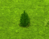 koreanfir_upgrade_0.gif