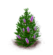 koreanfir_upgrade_0.png