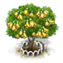 Kowhai xl.png