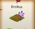 Krokus.png