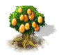Kumquatbaum.png