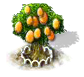 Kumquatbaum xl.png