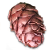larch_european_yield.png