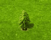 larch_upgrade_0.gif