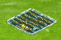 ledova_kvetina[1].gif