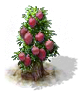 litch_Icon.png