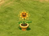 loadingflower.gif