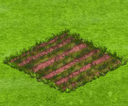 lollipopplant .gif