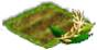 Loorbeer.png