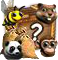 lootPackage191.png