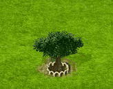 loquat_upgrade_1.gif