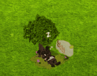 Münzen zählen.gif