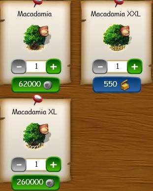 Macadamia-Baum im Shop.jpg