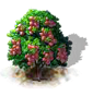macadamia_upgrade_0_Icon.png