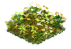 madder_Icon.png
