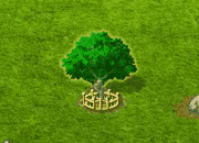 magellanbeech_upgrade_2.gif