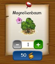 Magnolienbaum im Shop.jpg