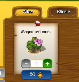 Magnolienbaum im Shop.jpg