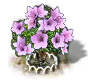 Magnolienbaum XL.png