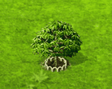 Mahagonibaum XL.gif