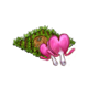 mainlayerfeb2021heartplant.png