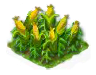maize_Icon.png